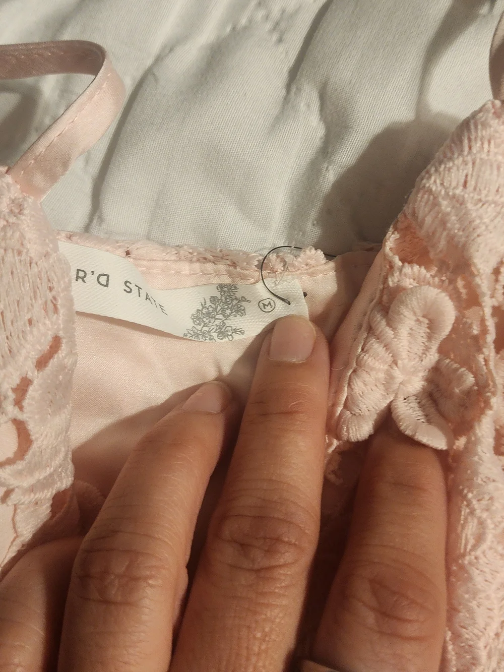 Altar'd State Blush Pink Lace Appliqué Mini Dress - Picture 4 of 7